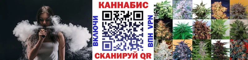 Купить где Ликино-Дулёво Канабис сатива